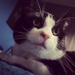 Tucker Posing